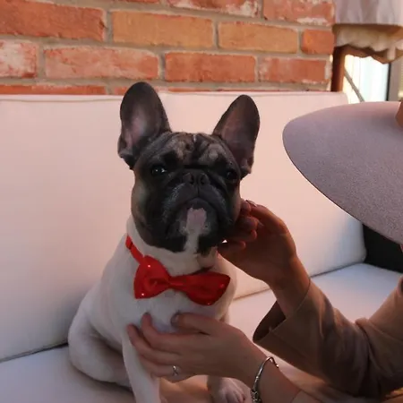 Feriested La Fermata Alessandria