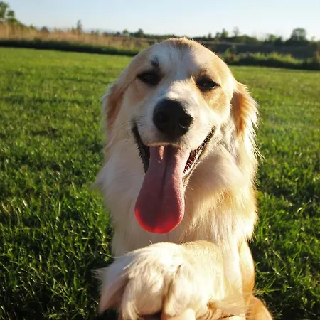 Feriested La Fermata 4*