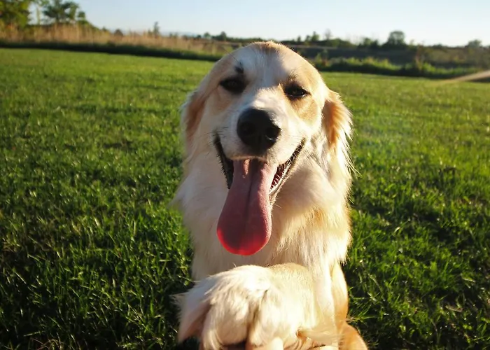 Θέρετρο La Fermata 4*